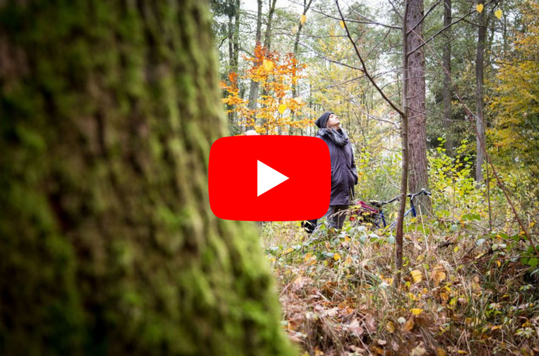 Image from the casefilm