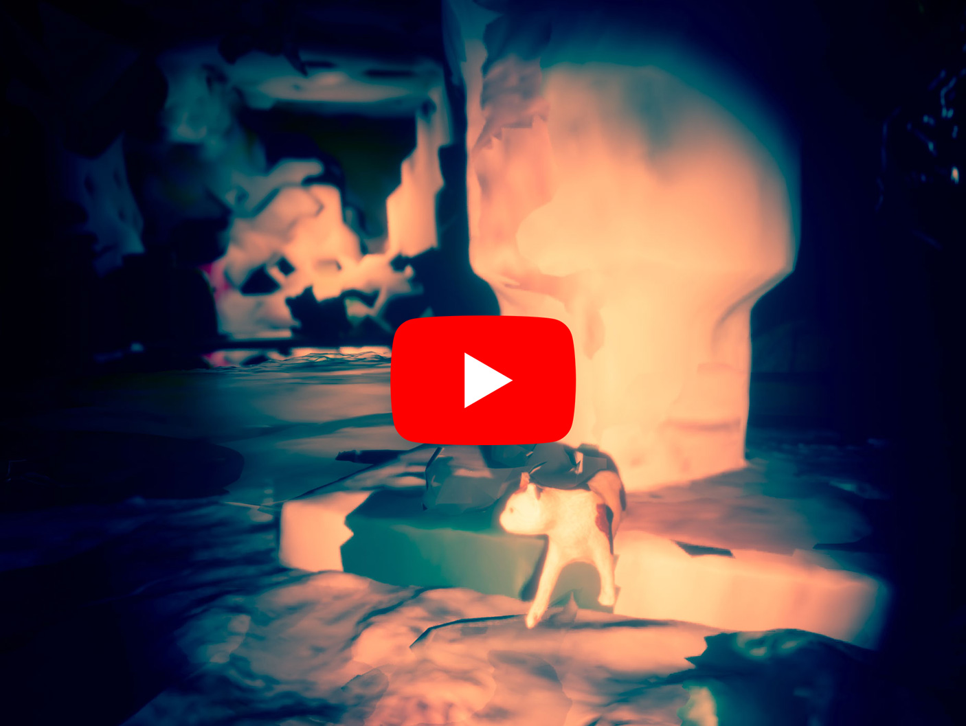 Image from the casefilm