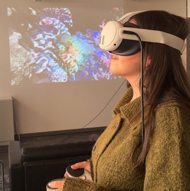 Zur Beschreibung von Riff